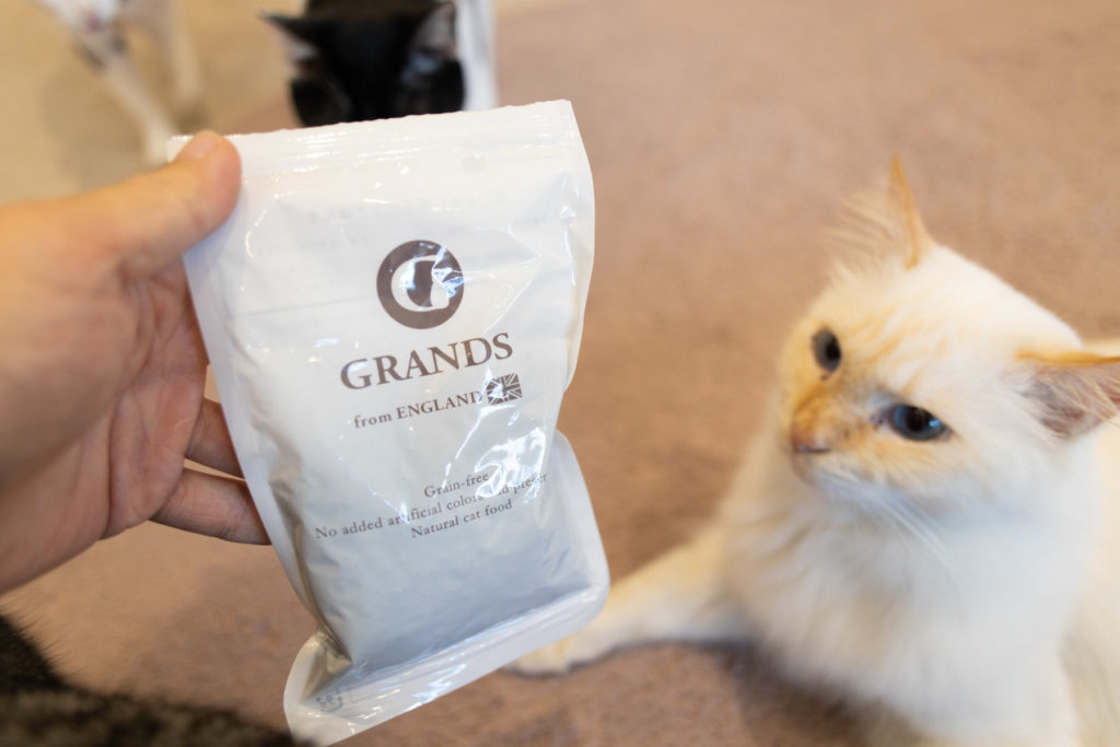 猫たちも大興奮!グランツキャットフードの動画で徹底レビュー - ね
